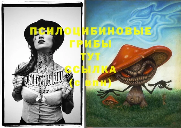 spice Алзамай