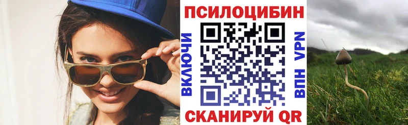 как найти наркотики  Староминская  omg ONION  Галлюциногенные грибы Magic Shrooms 